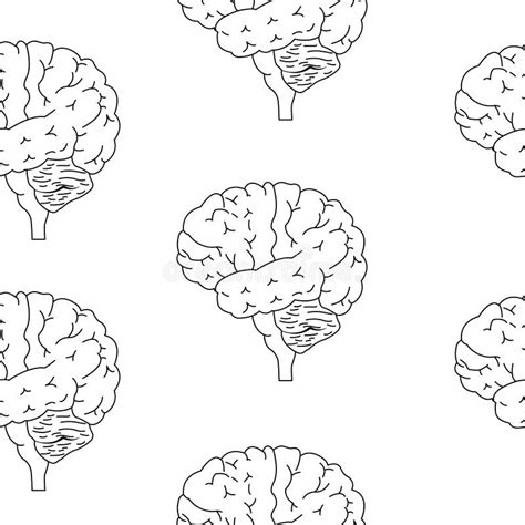 Lokalisierte Skizze Des Menschlichen Gehirns Vektor Abbildung