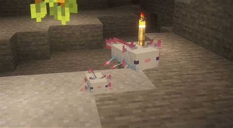 How To Breed Axolotls In Minecraft 118 Version