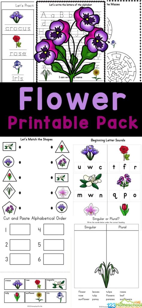 🌻 Free Printable Flower Worksheets For Kids