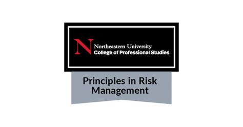 Principles In Risk Management Credly