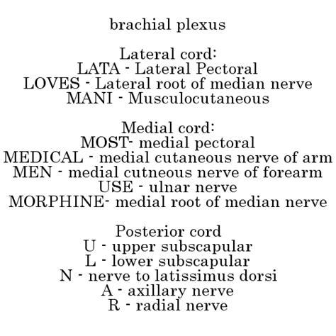 Brachial Plexus Mnemonics