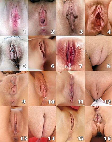 Types Of Vaginas Pics The Best Porn Website