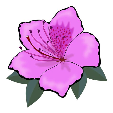 Konsep Terpopuler Flower Clip Art Undangan Ulang Tahun