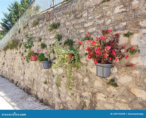 Traditional Stone Wall With Flowers And Plants Stock Photo Image Of