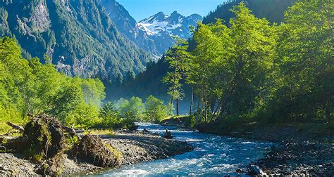 This is a difficult one way trail in olympic national park. Enchanted Valley by Wildland Trekking with 2 Tour Reviews ...
