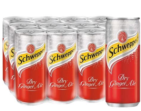 Schweppes Dry Ginger Ale Can 320ml X 12s The Care