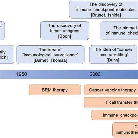 The History Of The Development Of Cancer Immunology And Immunotherapy