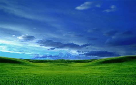 Green Grass And Blue Sky Wallpapers Top Free Green Grass And Blue Sky Backgrounds