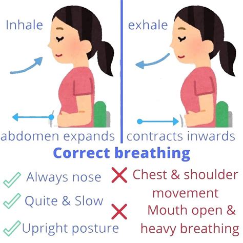 Correct Breathing Breathing Exercises Belly Breathing Breathe
