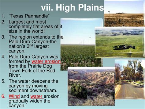 Ppt Texas Ecoregions Powerpoint Presentation Free Download Id741654