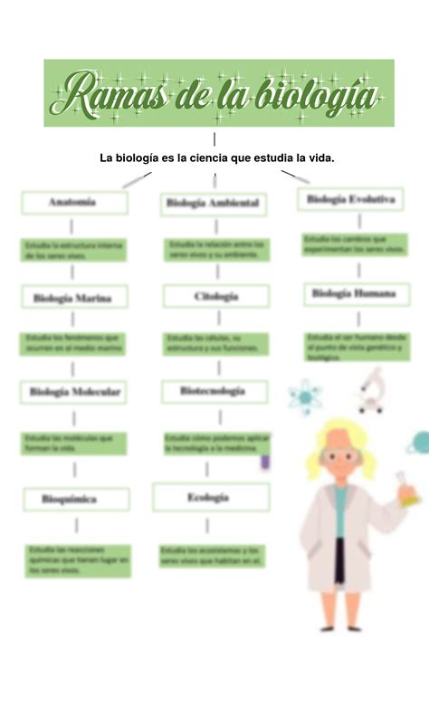 Solution Ramas De La Biolog A Mapa Conceptual Studypool The Best Porn