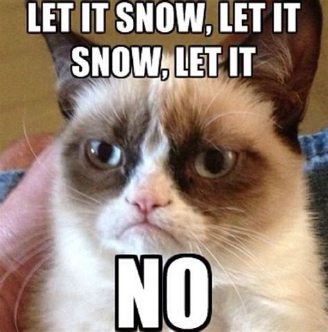 Let It Snow Snow And Grumpy Cat On Pinterest