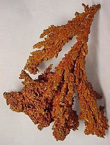 It is ideal for painting walls, a room renovation (bedroom, kitchen…), a new sofa, a bed. Copper (color) - Wikipedia