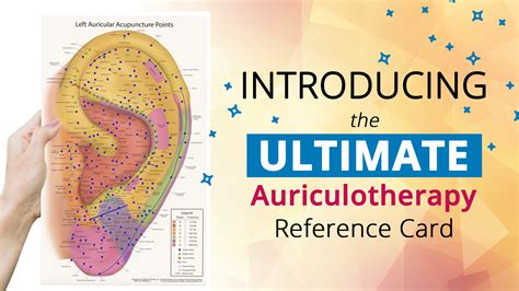 The Ultimate Auriculotherapy Reference Card Acupuncture Technology News