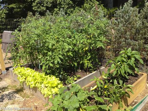 To Plant A Garden Or Not Roadtreking Blog Fmca Rv Forums A