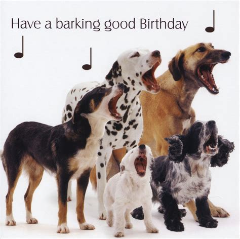Hound Dog Birthday Quotes Quotesgram