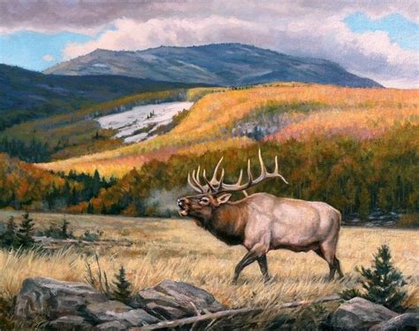 North American Wildlife Artists North American Wildlife Paintings