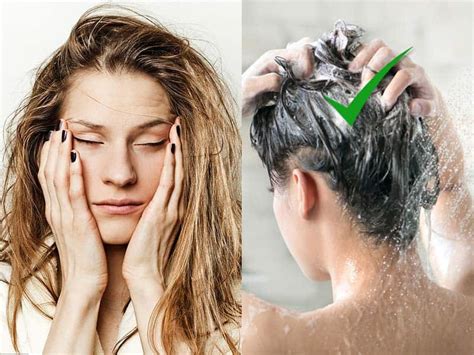 For conditioner, start at the ends and. How Often Should You Wash Your Hair Female? | Hear From ...