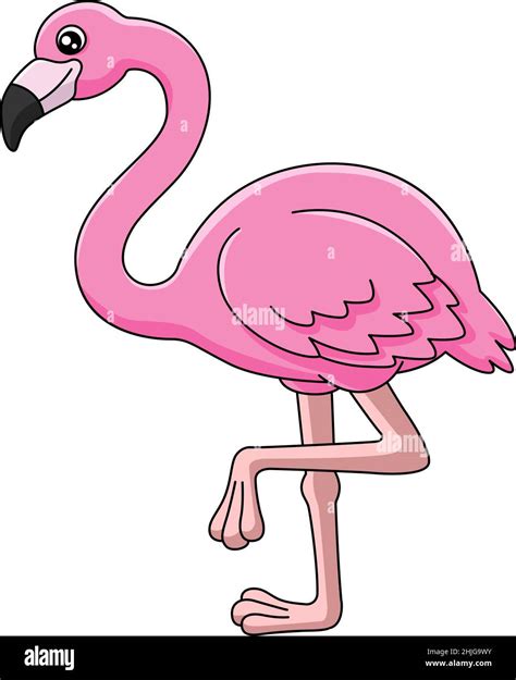 Flamingo Cartoon Clipart Vector Illustration Imagen Vector De Stock Alamy