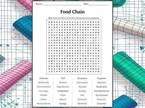 Food Chain Word Search Puzzle Worksheet Activity Teaching Resources