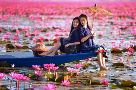 Best Time To Visit Red Lotus Lake Thailand Ctn News