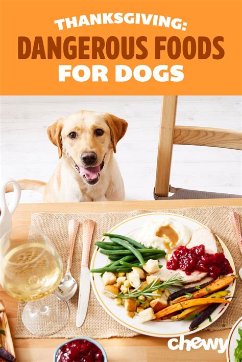 Thus, avoid fruits like lemons, grapefruits, tomatoes, and oranges, apples, peaches, grapes, plums, strawberries, and pineapple. Dangerous Foods for Dogs at Thanksgiving | Dangerous foods ...