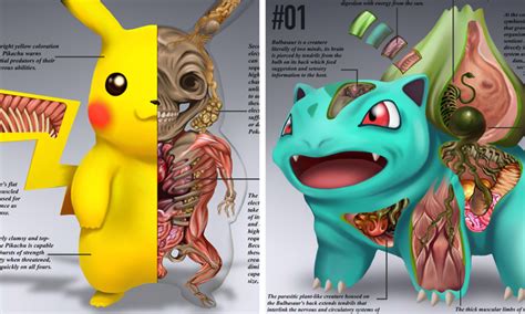 Pokenatomy Ilustrador Mostra Como São Os Pokémons Por Dentro