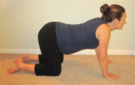 With an inhale, curl the tailbone and lift the . Soothing Pregnancy Yoga Poses