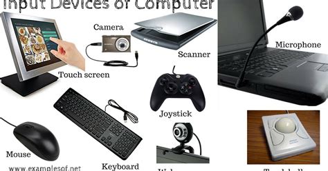 10 Examples Of Input Devices Of Computer