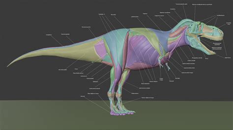 Behind The Scenes Tyrannosaurus Rex Life Reconstruction Blendernation