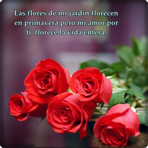 Frases De Amor Para Tarjetas De Flores Theneave