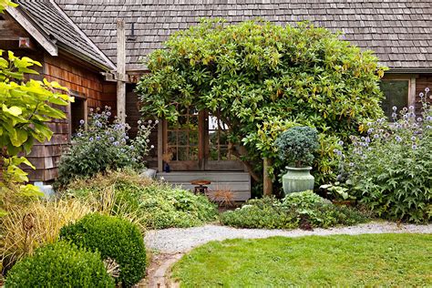 These Fast Growing Trees Naturally Boost Privacy In Your Yard Best