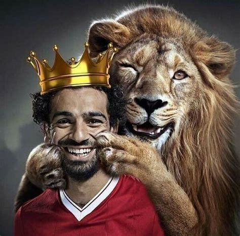 Lion King Mo Salah Mohamed Salah Egypt Salah Liverpool