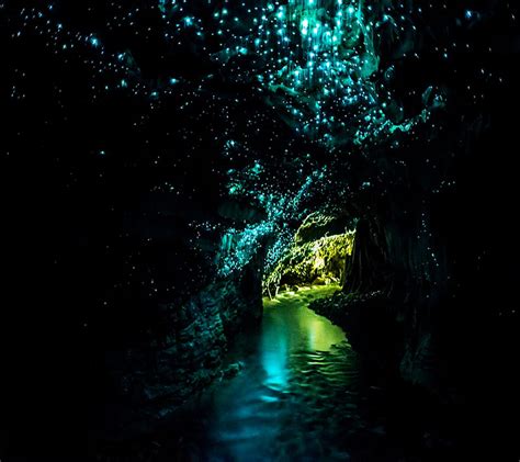 1920x1080px 1080p Free Download Glowworm Cave New Zealand Waitomo