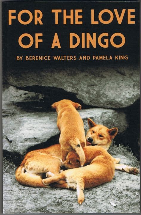 Random Jottings Extract For The Love Of A Dingo By Berenice Walters