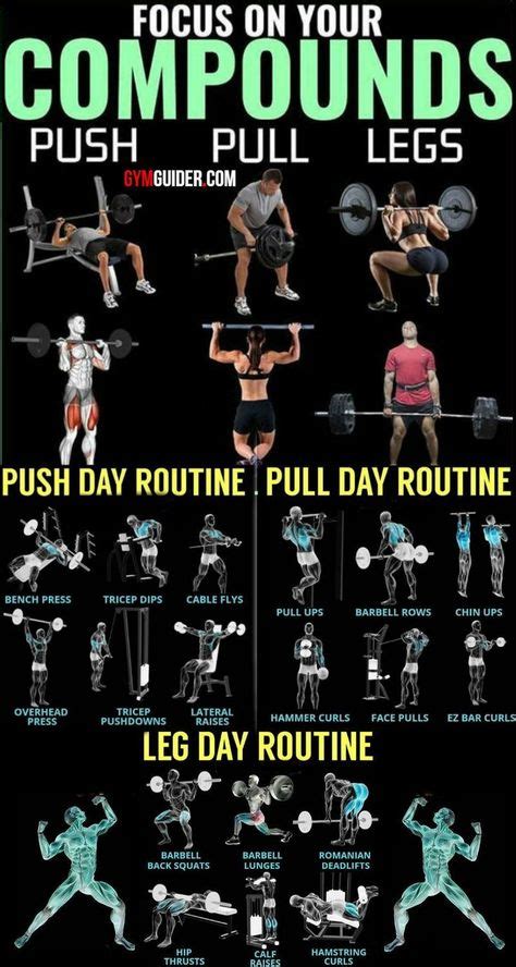 7 Best Push Day Workout Images In 2020 Push Day Workout Push Pull Legs