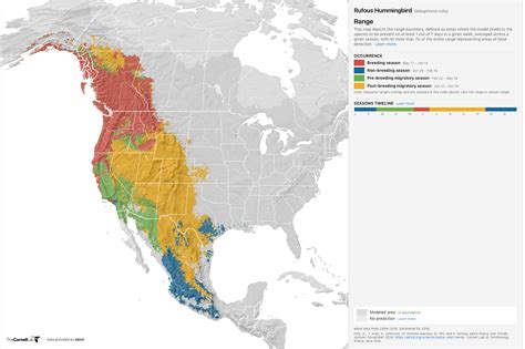 Rufous Hummingbird Ebird Range Map Enchanted By The Wild