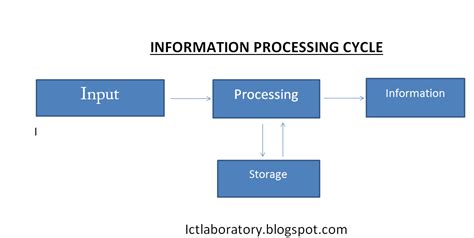 Stages Of Processing