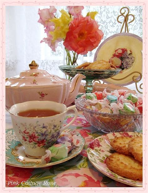 Pink Cottage Rose Tea Party Tea Party Tea Tea Time