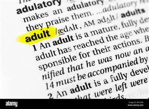 Highlighted English Word Adult And Its Definition In The Dictionary
