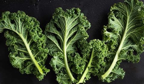 The Most Common Types Of Kale And How To Use Them Shape