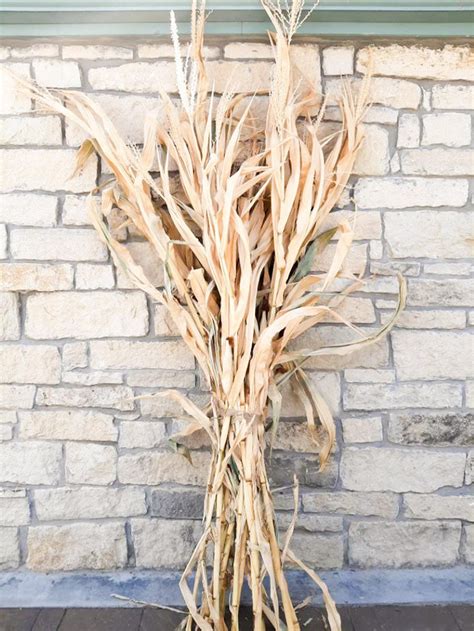 20 Dried Corn Stalks Decorations Ideas