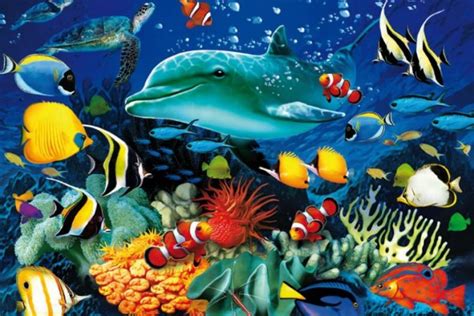 Dasar Laut Gambar Hidupan Laut Kartun Berwarna Gambar Hidupan Laut