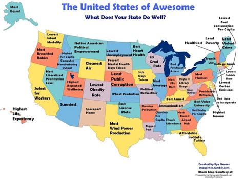 The United States Of Awesome And Shame Infographic Bit Rebels