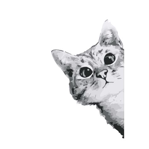 Tidak seperti beruang dan anjing yang. Gambar Kucing Comel Hitam Putih - KucingComel.com