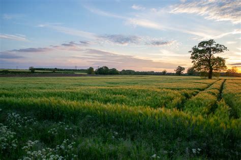 Grass Field Under Clear Sky During Sunet Photo Free Nature Image On