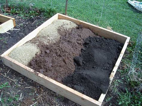 Peat Moss What It Is And How To Use It In Your Garden