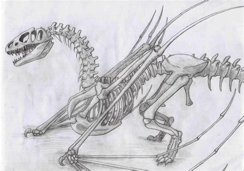 Undead Dragon Skeleton Dragon Skeleton Dragon Sketch
