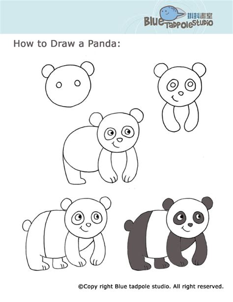 How To Draw A Panda Bear Step By Step Bmp A