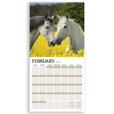 January 2022 December 2022 Horses 12x12 Wall Calendar Etsy